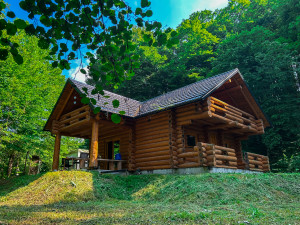 Weekend house / Log cabin with land 1,248m2 | Šnjegotina Gornja, Teslić