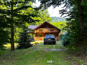 Weekend house / Log cabin with land 1,248m2 | Šnjegotina Gornja, Teslić photo 5