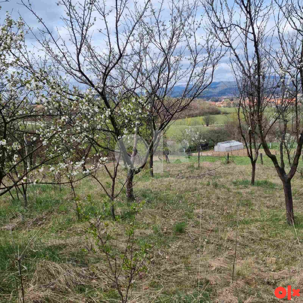 Oaza mira kod Visokog, 4 duluma, dva izvora, voćnjak i vikendica 2
