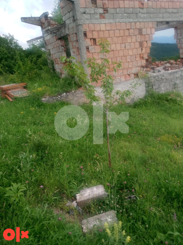 Vikendica na Igmanu Opstina Trnovo 061172486 2