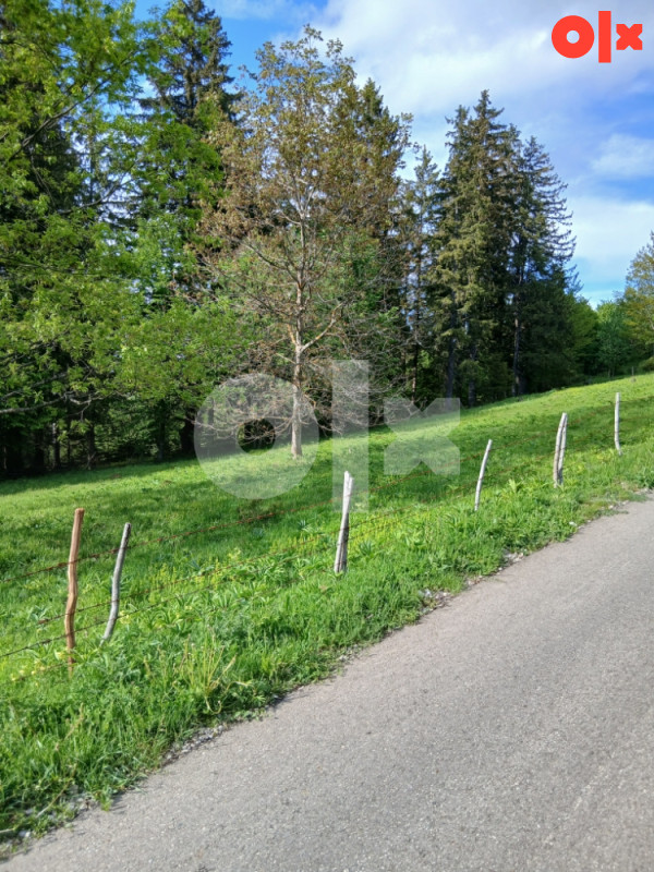 Zemljište i placevi Kneževo 5
