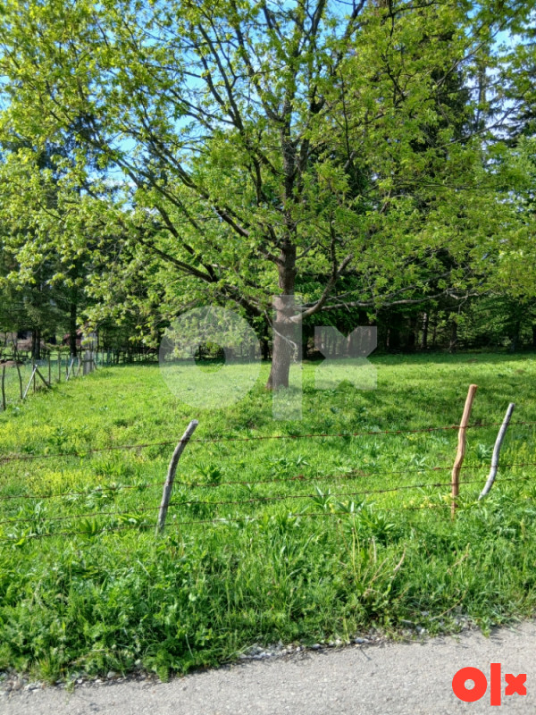 Zemljište i placevi Kneževo 6