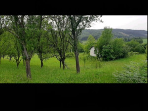 Zemljište, 8440 m², Prijedor