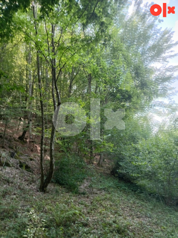 Zemljište Vlasenica 7