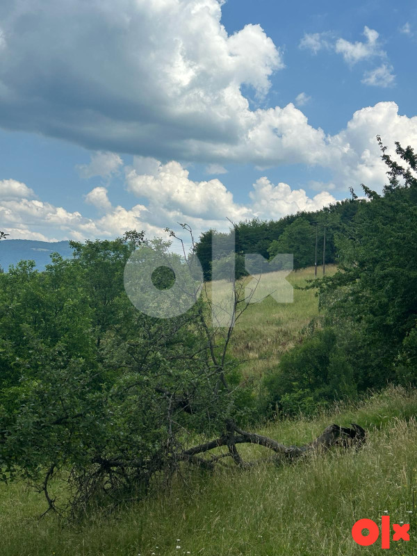PRODAJA - Imanje 27000m2 sa kućom i farmom - Donja Bioča Ilijaš 9