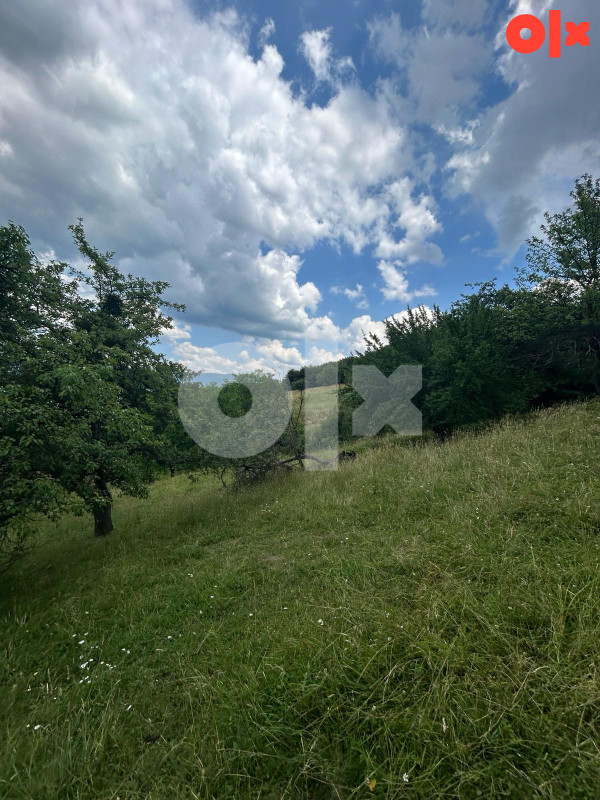 PRODAJA - Imanje 27000m2 sa kućom i farmom - Donja Bioča Ilijaš 10