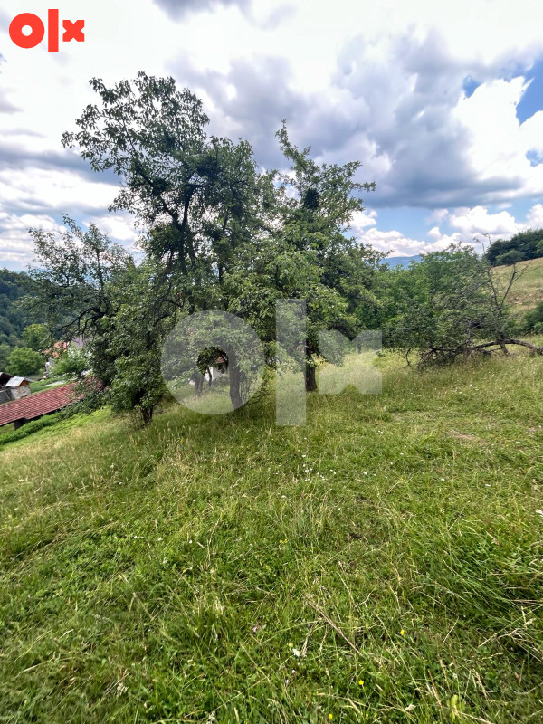 PRODAJA - Imanje 27000m2 sa kućom i farmom - Donja Bioča Ilijaš 14
