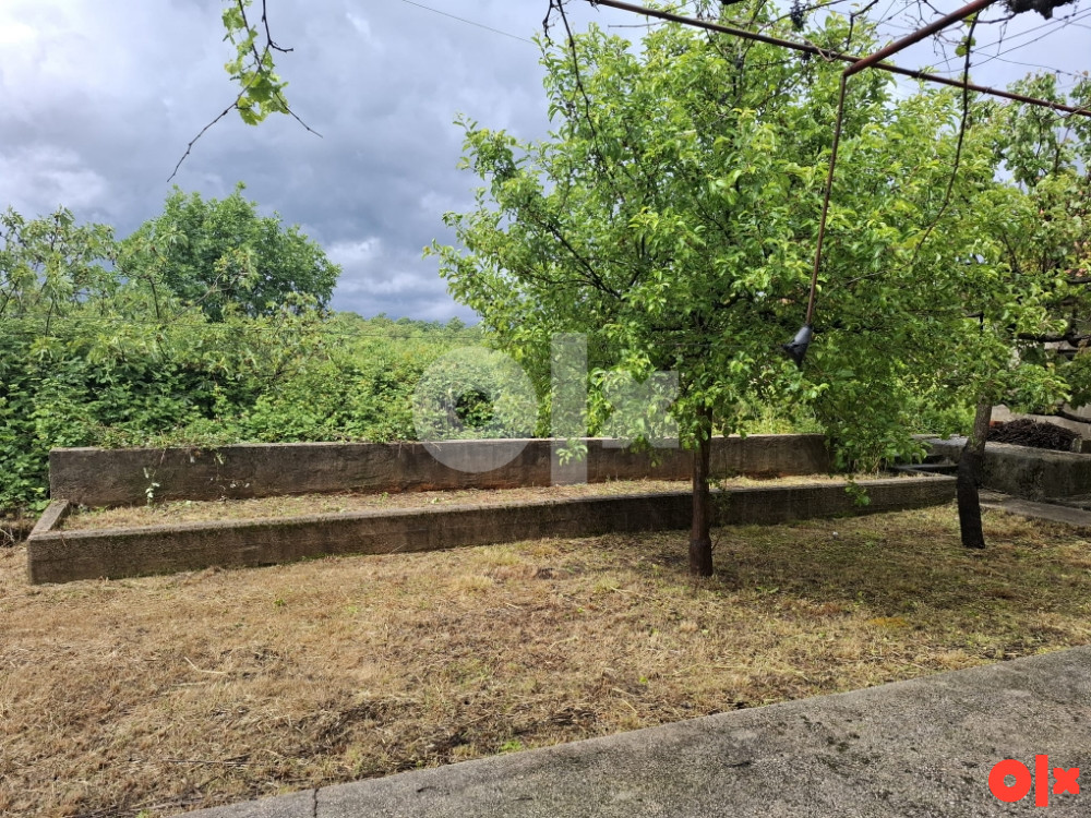 Kuća na prodaju, Grude, Višnjica 11
