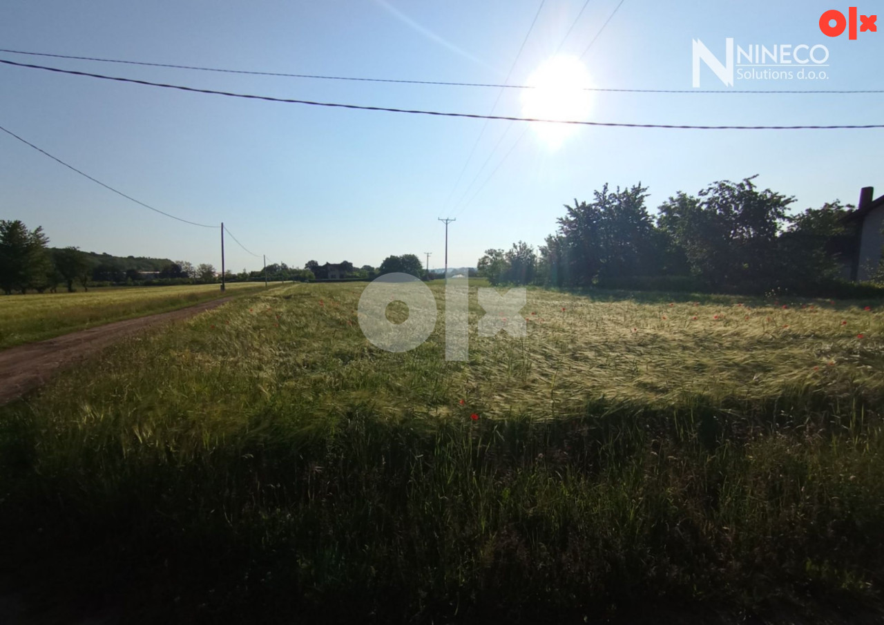 ZEMLJIŠTE - ŠUŠNJARI - 3.000 m2 2