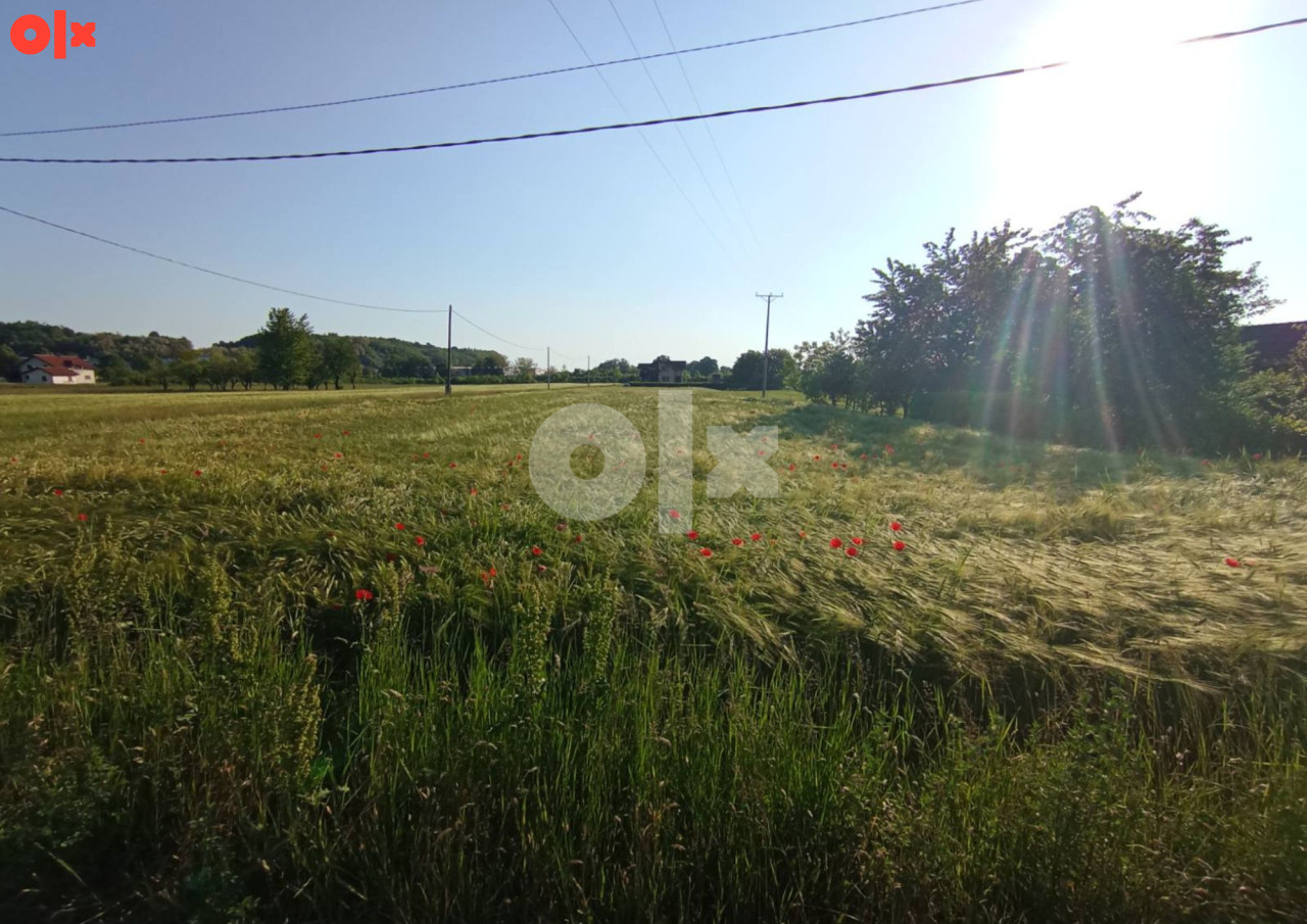 ZEMLJIŠTE - ŠUŠNJARI - 3.000 m2 3