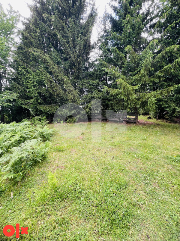 Zemljište Brezovice, Pale 12199m2 14