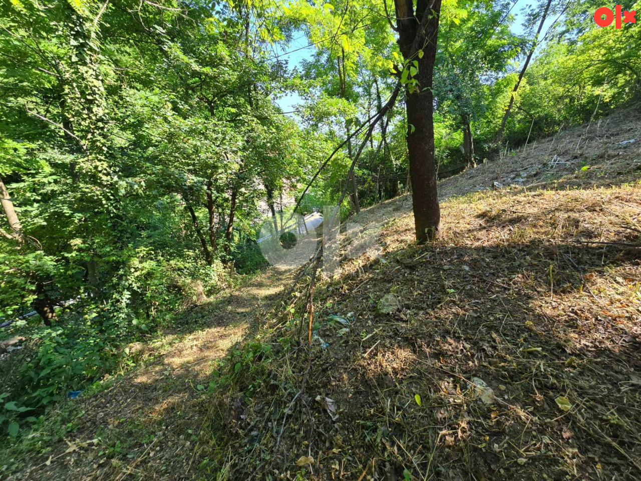 Plac sa starijom kućom u Potoku sa divnim pogledom 5
