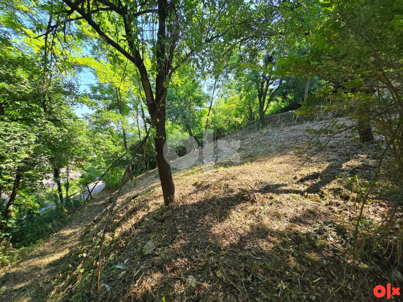 Plac sa starijom kućom u Potoku sa divnim pogledom 10