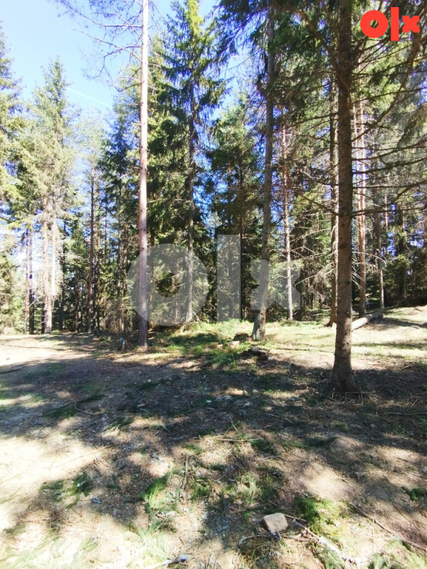 Zemljište Nišići-Kamenica, Nišićka visoravan, Ilijaš