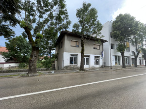 House Gacko