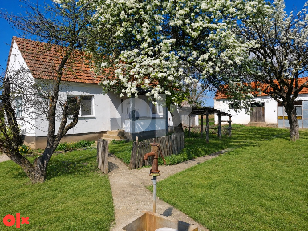 Kuća i plac na prodaju, Brodac, Bijeljina
