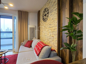 Apartman dvosoban terasa 38m2 Snježna dolina Jahorina photo 2