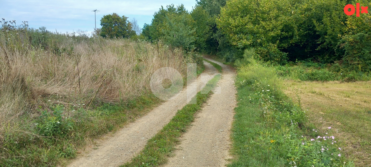 Zemljište Gradiška 12000m2 3