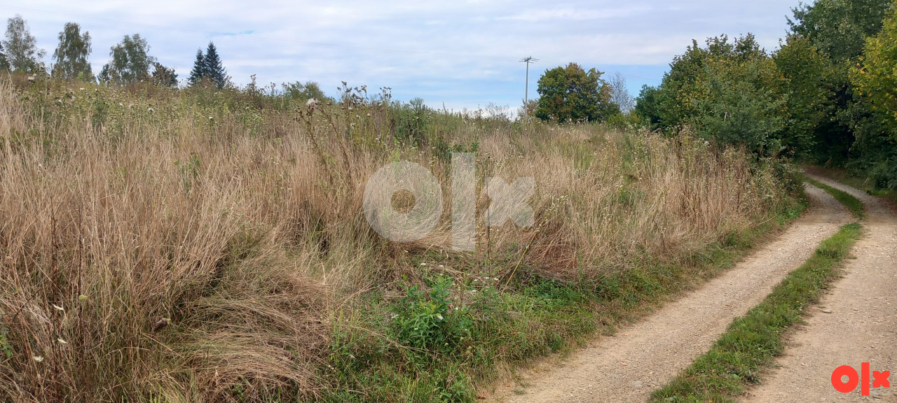 Zemljište Gradiška 12000m2 4
