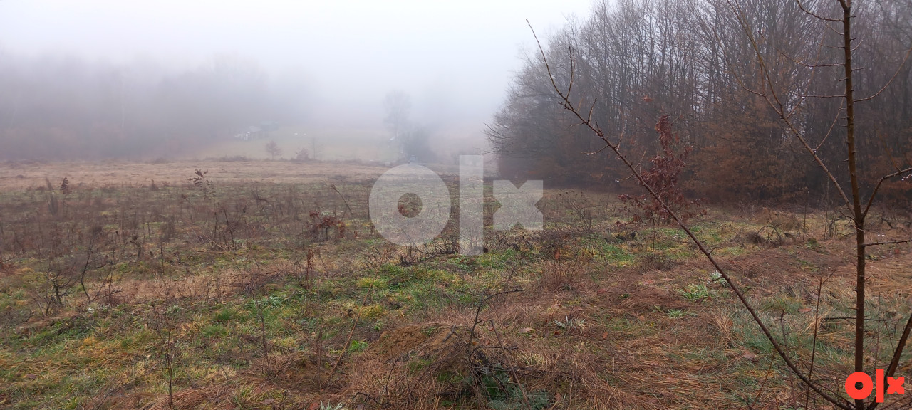 Zemljište Gradiška 12000m2 6