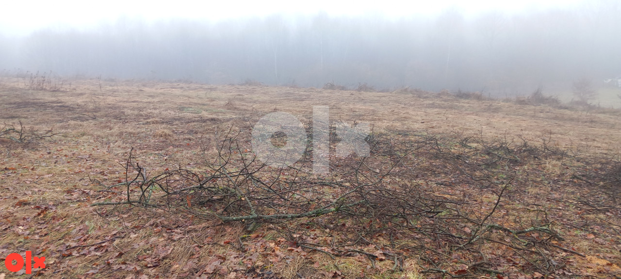 Zemljište Gradiška 12000m2 9