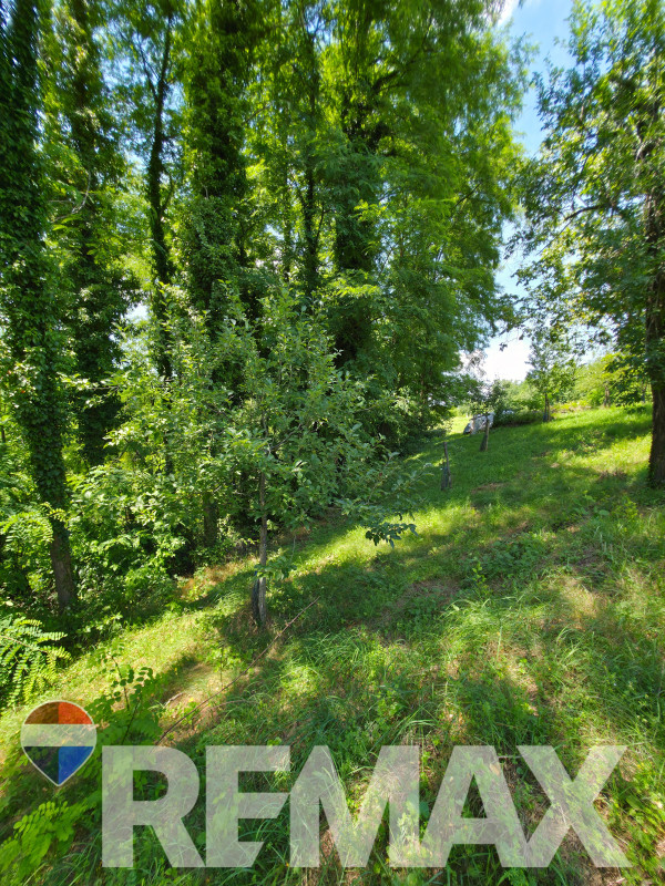 Rajsko imanje sa voćnjakom i šumom /18.180m2, Motike, Banja Luka 9