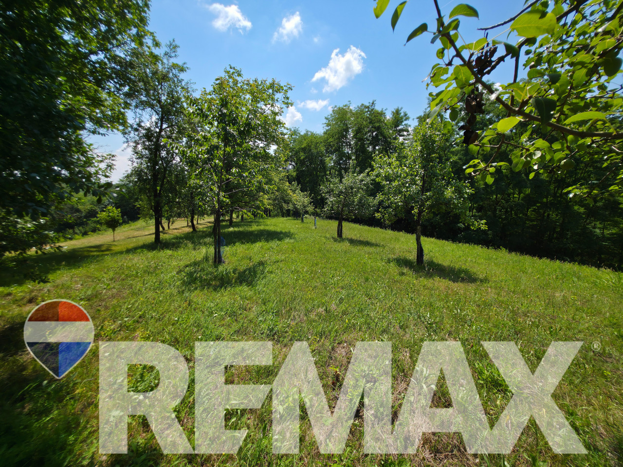 Rajsko imanje sa voćnjakom i šumom /18.180m2, Motike, Banja Luka 11