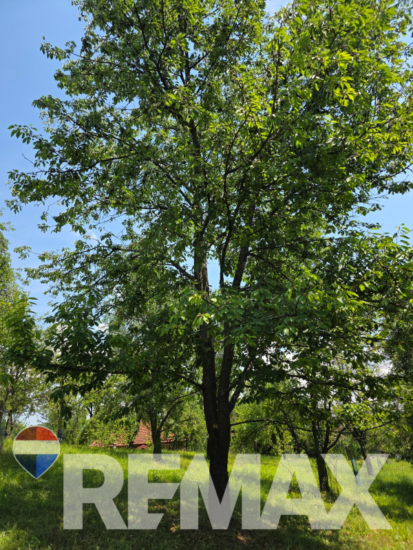 Rajsko imanje sa voćnjakom i šumom /18.180m2, Motike, Banja Luka 12