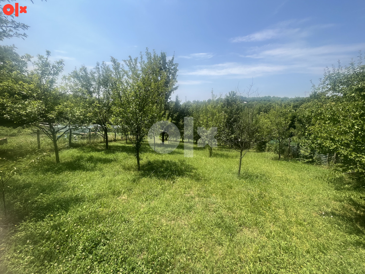 Kuća Jablan Laktaši sa p. objektom i vocnjakom plac 1000m2 5