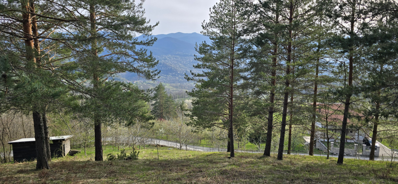 Kuća 175m2 / na parceli 13.716m2 / Vozuća-Krivaja / Zavidovići 38