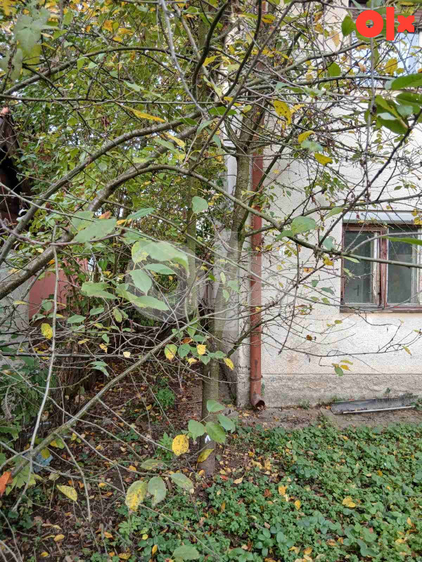 Kuća 125 m2 i plac 550 m2 9