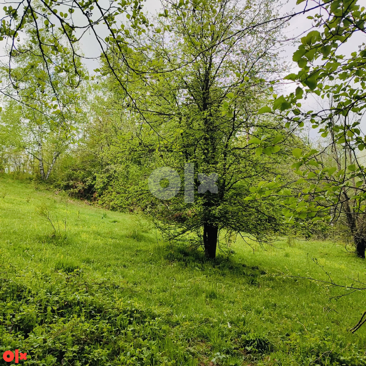 ZEMLJISTE ILIDŽA, K.O. VLAKOVO 6