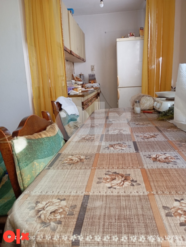 Na prodaju kuca suma zemlja sve u kompletu 10