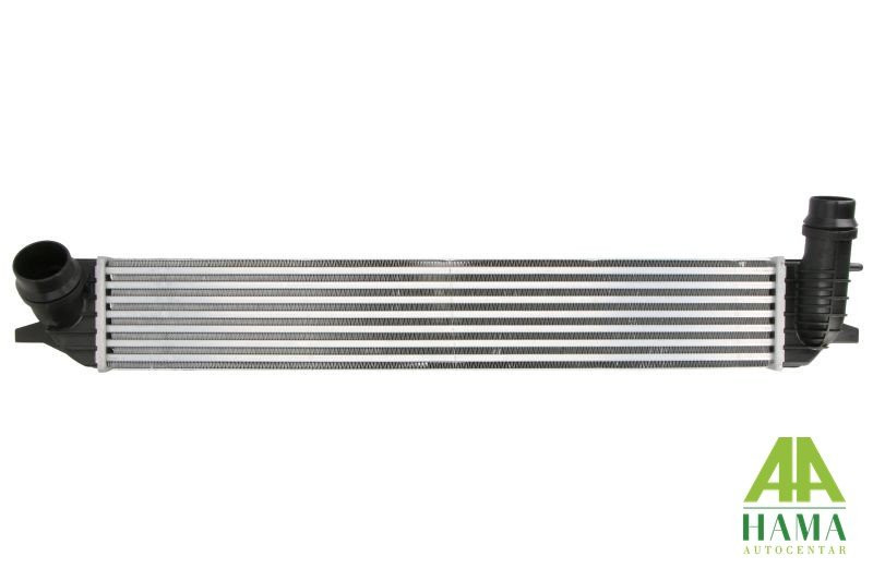 Interkuler stub-pipe diameter 46 mm/ 56 mm) RENAULT LAGUNA i dr.