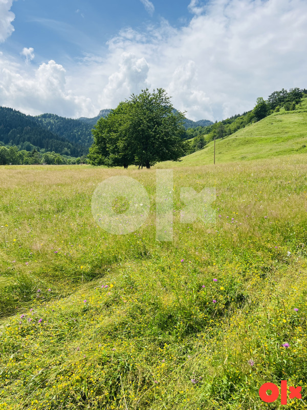 Zemljište Vrhprača, Pale 5000m2 7