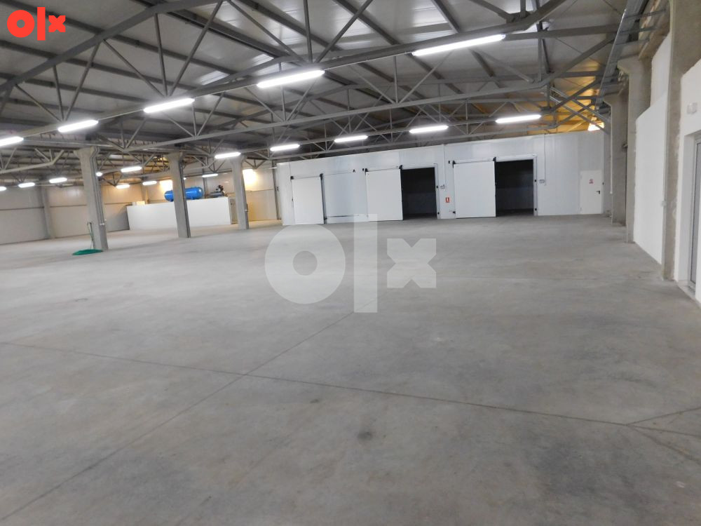 HALA- 2298m2 na placu površine 7880m2 - NOVA TOPOLA 24