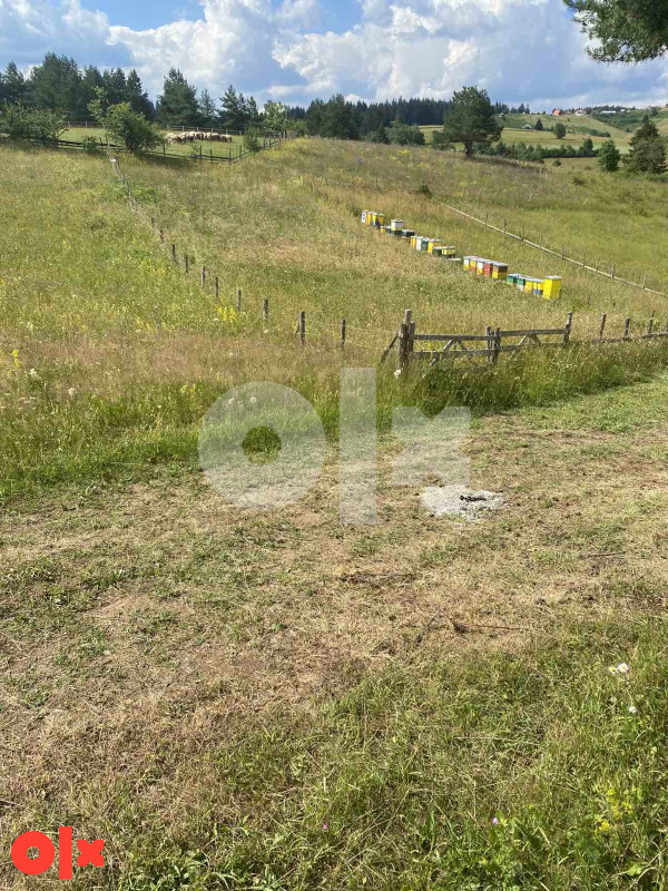 Zemljište Ilijaš 2800m2 3