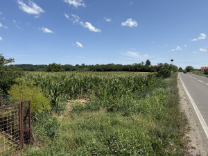 Zemljište, 2500 m², Bijeljina