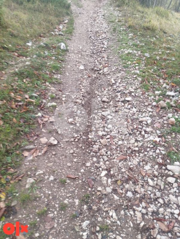 Zemljište Trnovo 8