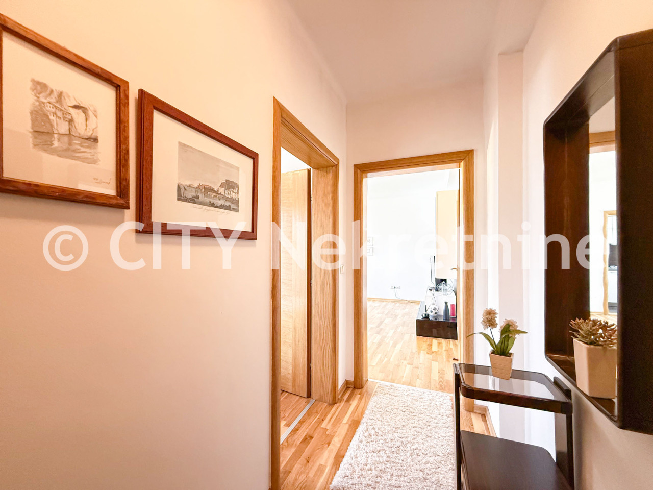 Dvosoban stan - Centar - Marijin Dvor - 45 m2 10
