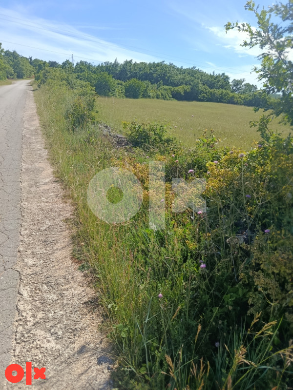 Parcela 6000m2 Batin - Posušje