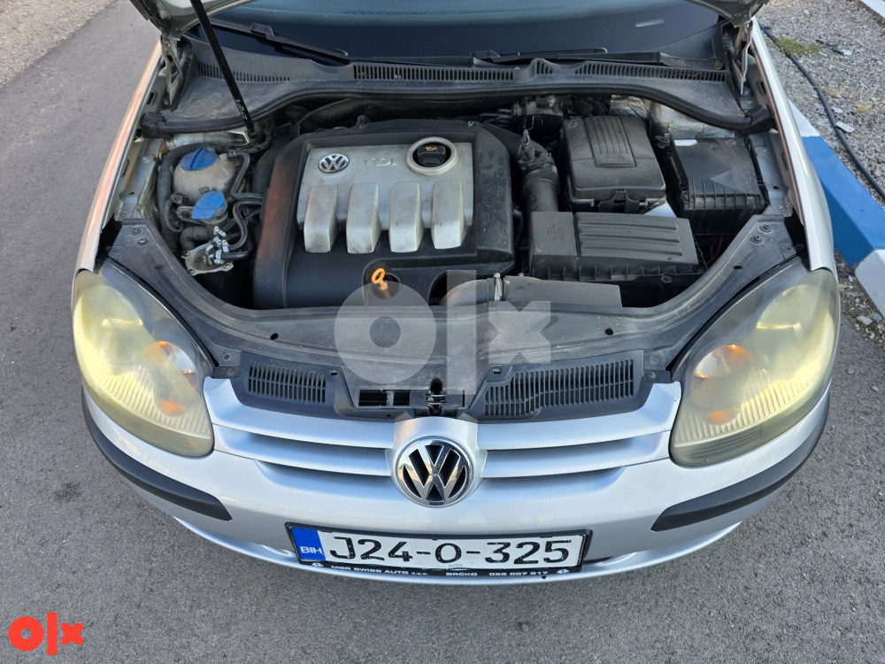 Volkswagen Golf 5 1.9 TDI 77KW 2005G registrovan