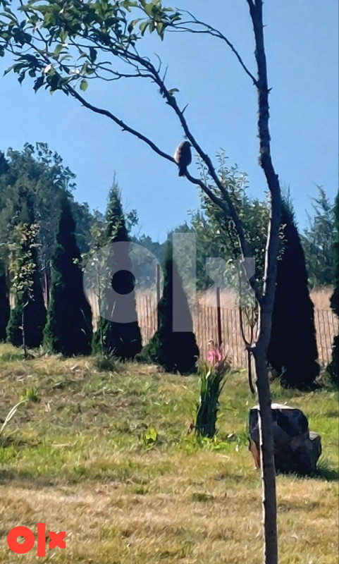 Vikendica Tjentište 7