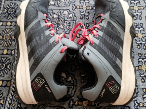 Patike cizme Adidas terrex GORE-TEX traxion broj 41