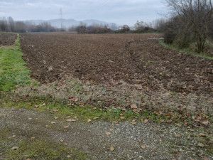 Zemljište Velika Bukovica