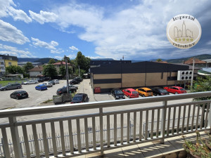 Kuća Pale, 350m2, 434m2 okućnice, strogi centar photo 4