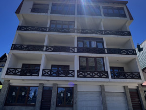 Vlasic Apartman photo 1