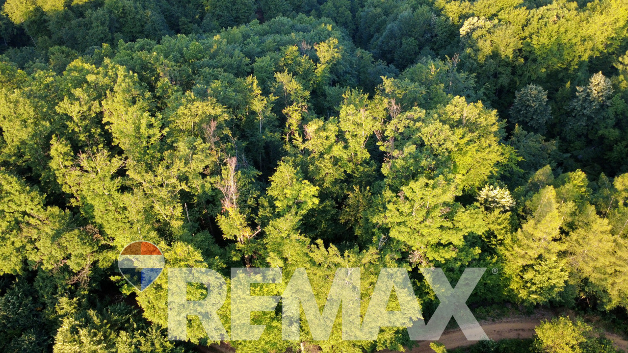 Zemljište sa šumom, 97 duluma - Otpočivaljka 6