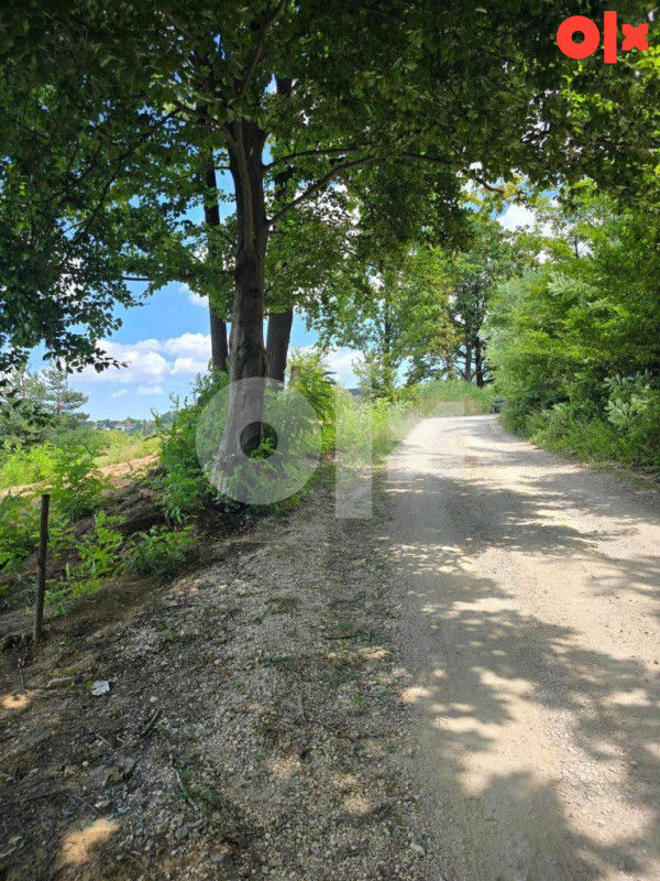 Plac od 1000m2 sa pogledom - KRČMARICE 3