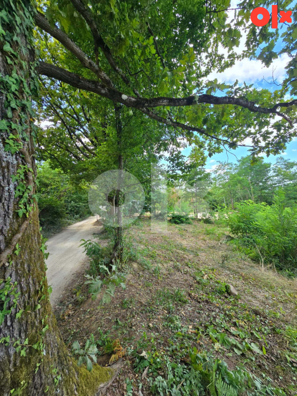 Plac od 1000m2 sa pogledom - KRČMARICE 5